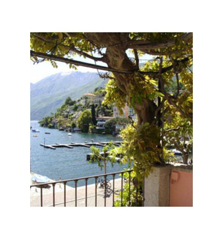 Hotel Elvezia 