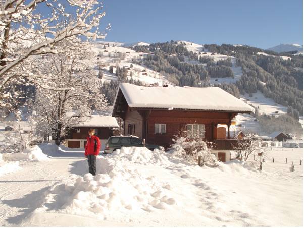 Haus Roserta Швейцария, Ленк
