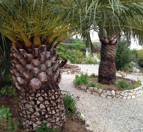 Villa Javea в Хавеа