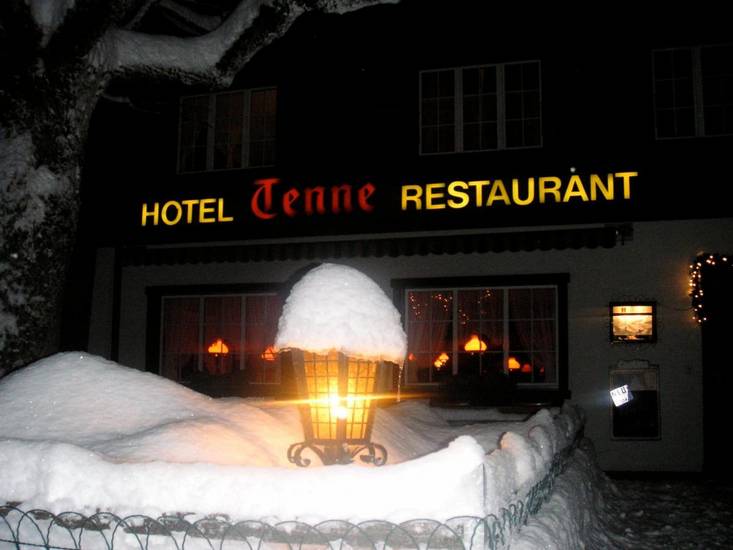 Hotel Tenne Швейцария, Ленк