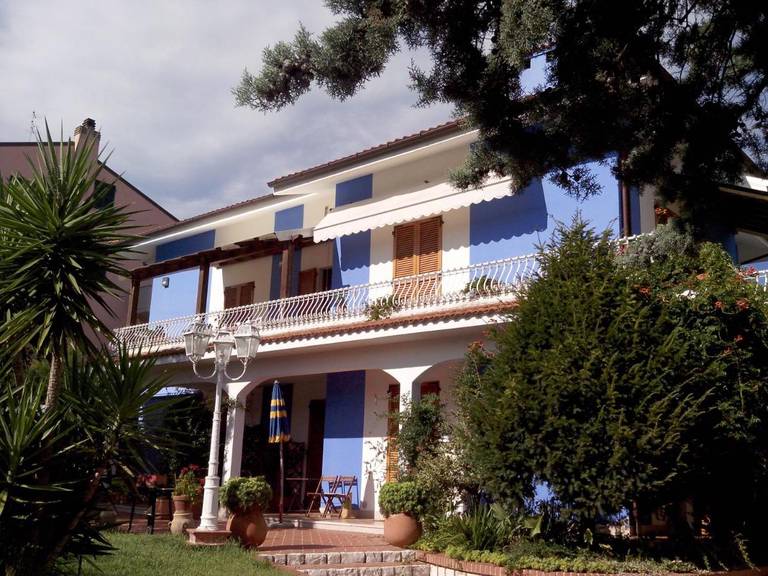 AmareNumana 