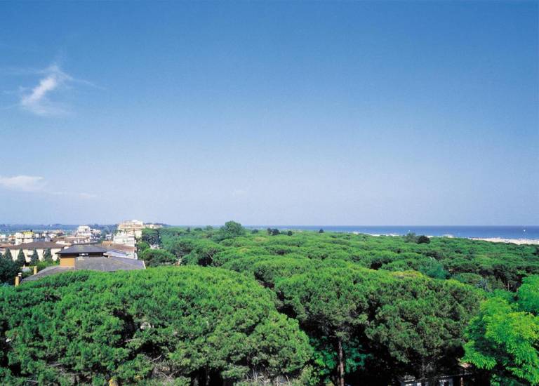 Hotel Berna 