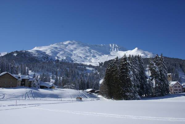 Fewo Peteri  5* Швейцария, Парпан