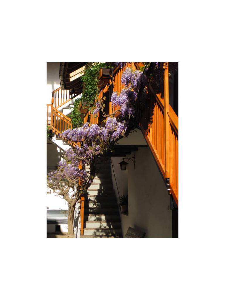 Haus Kager 