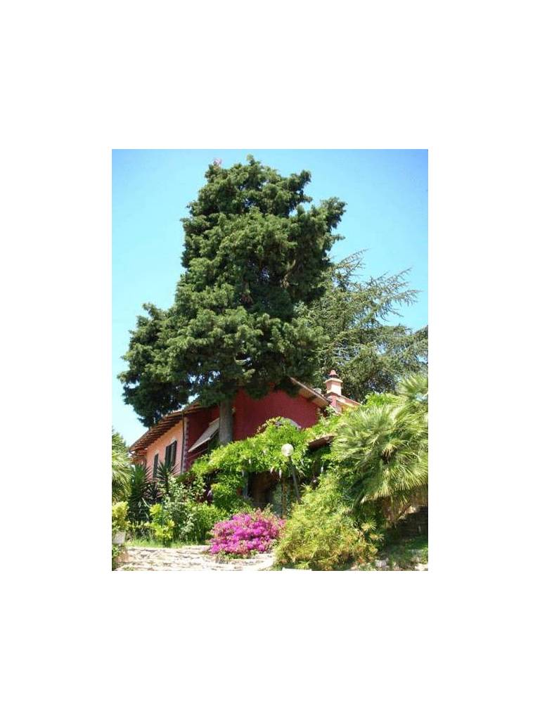 Le Capanne 