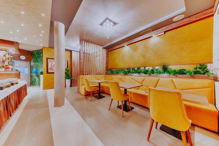 Hotel Lion 