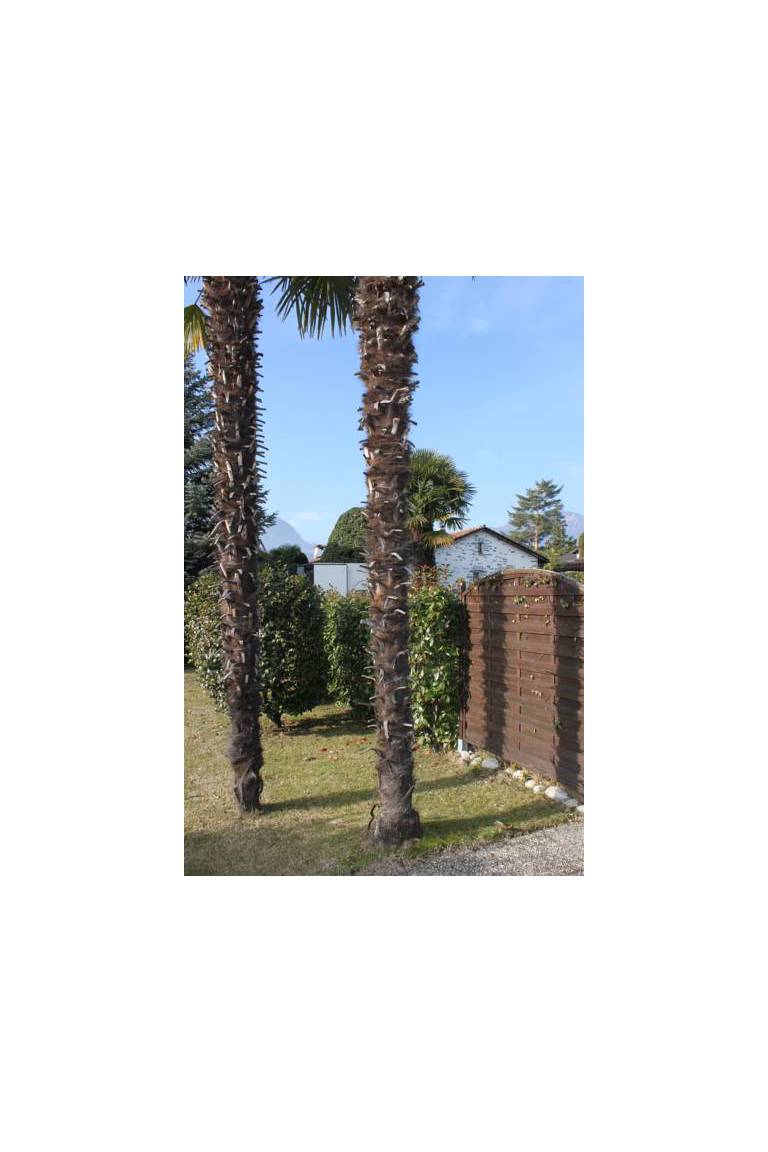 Casa Pace 