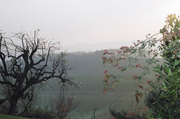 Il Cedro  Италия, Ла Морра