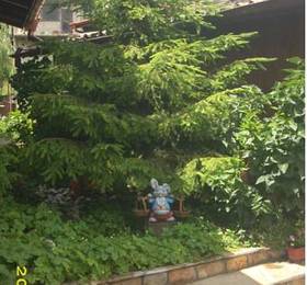 Туры в Dobrikovskata Guest House  в Болгарии