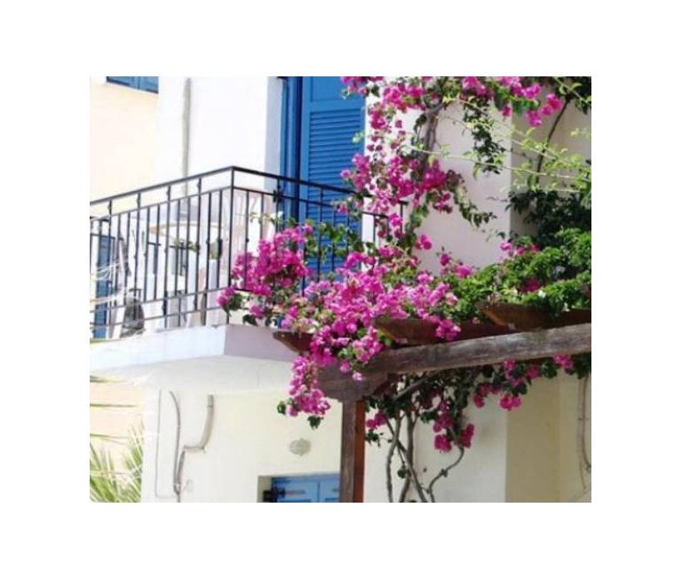 Lianos Hotel Apartments 