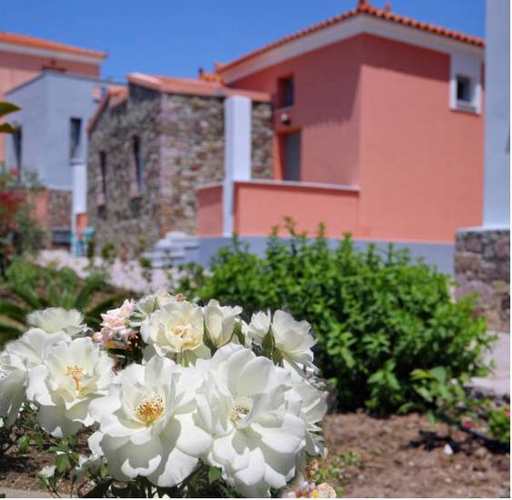 Theofilos Hotel Petra  3* Греция, Петра