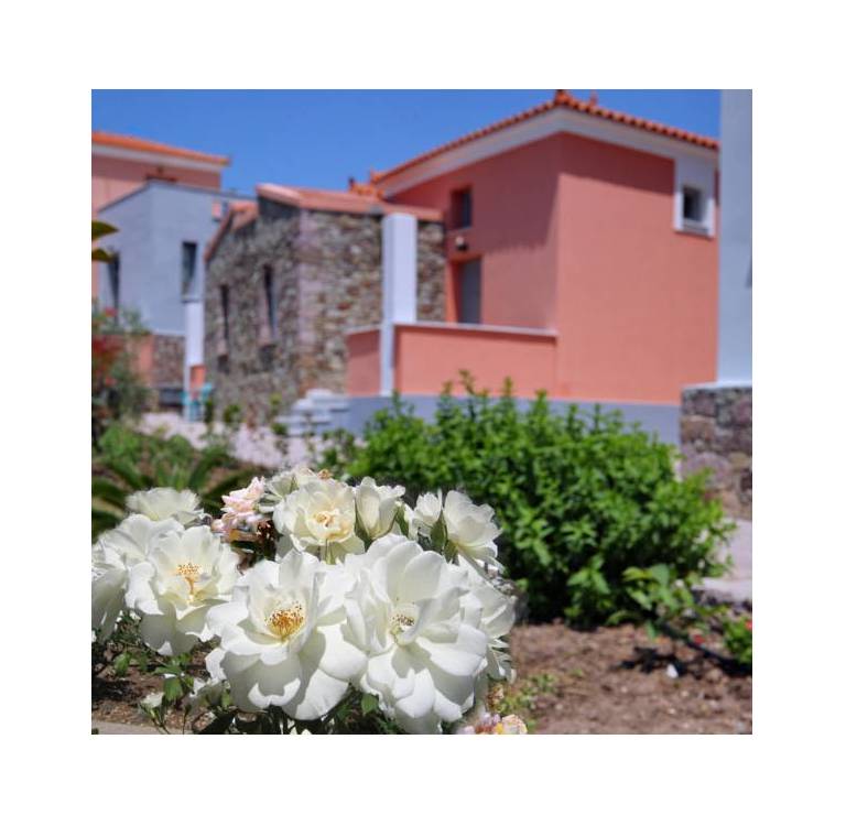 Theofilos Hotel Petra 