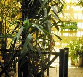 Angeliki's Apartments  в Агиос Николаосе