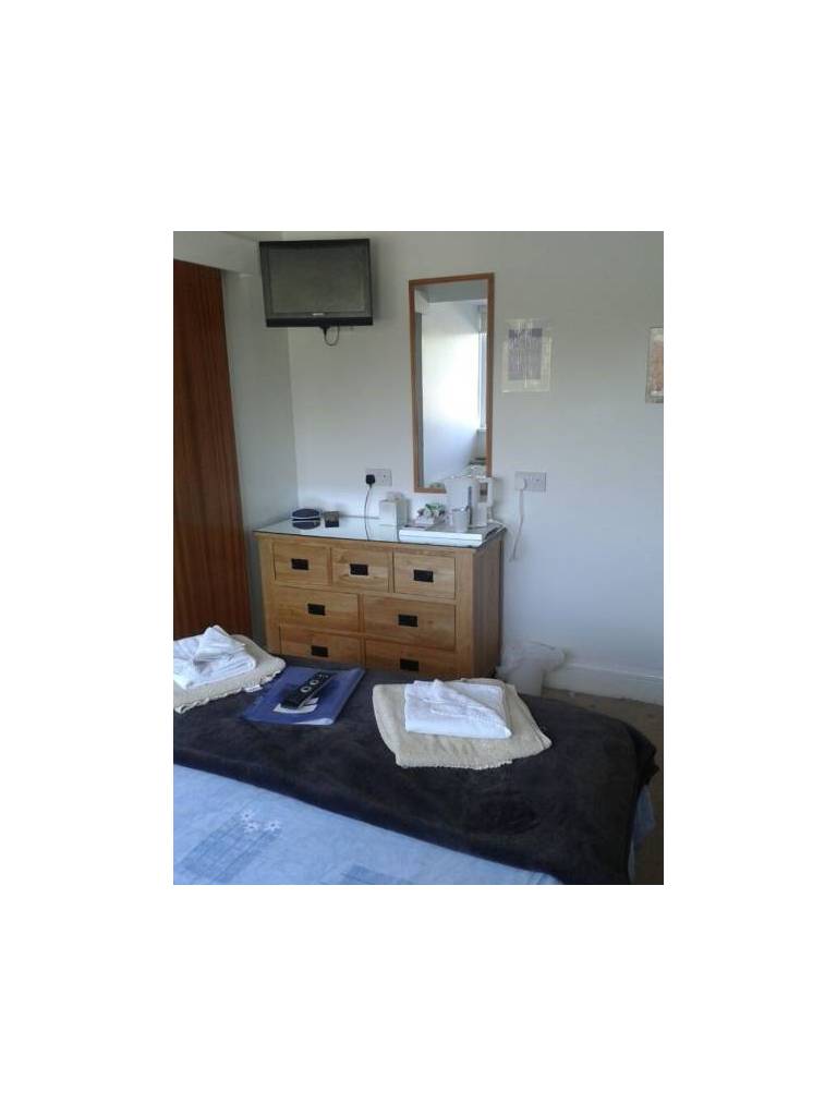 The Oasis Guesthouse 