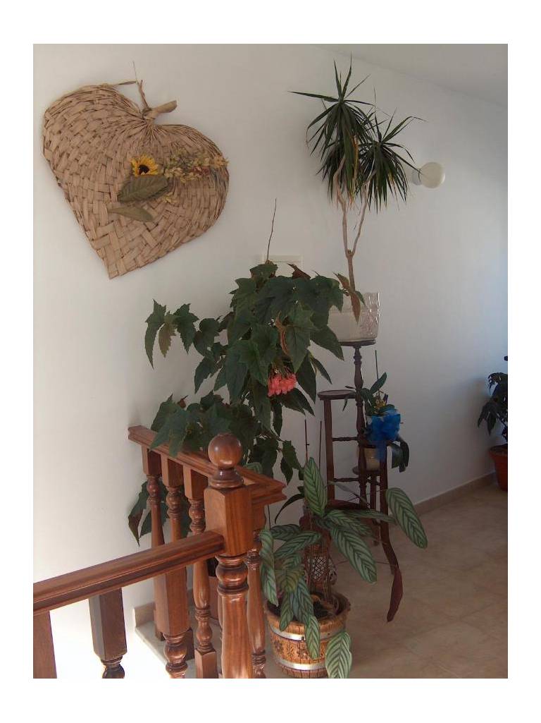 Guesthouse A Lareira 