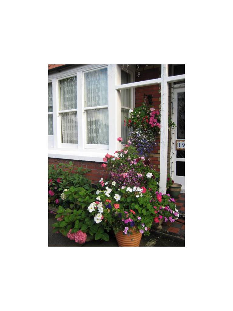 Rosemead Guest House 