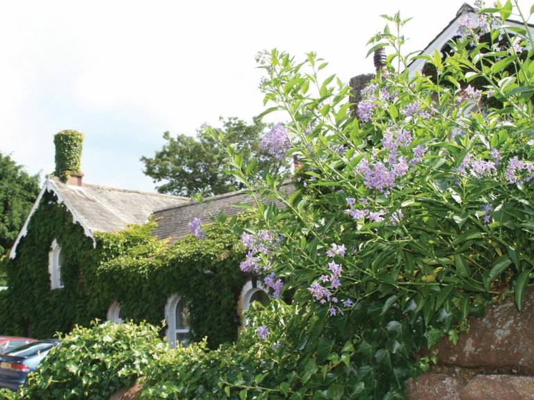 The Brantwood Hotel 