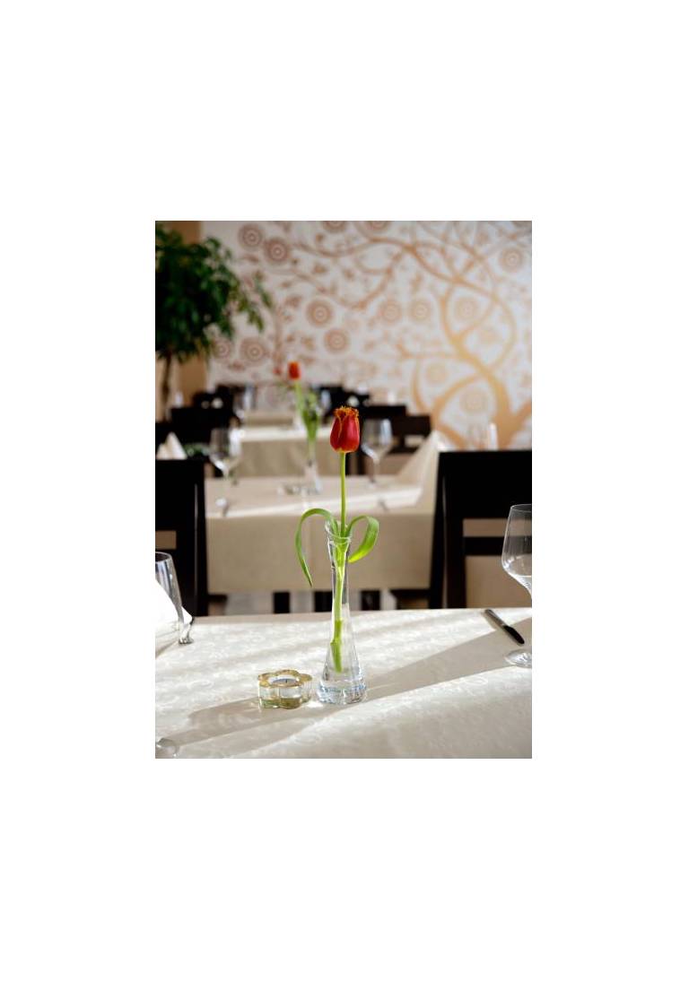 Apartamenty Parkowe 