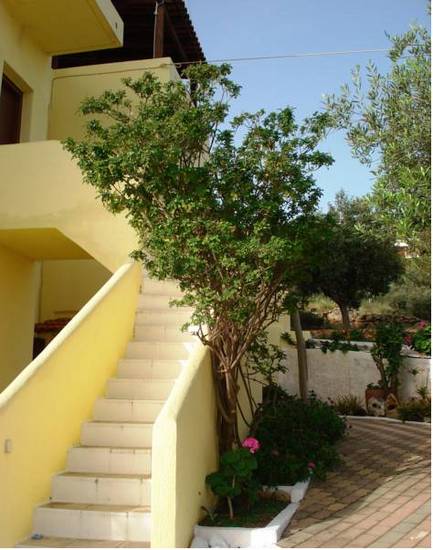 Vistamare Lodge B&B  Греция, Агиос Николаос