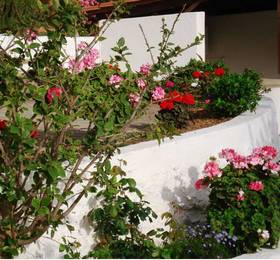 Отдых в Vistamare Lodge B&B  - Греция, Агиос Николаос
