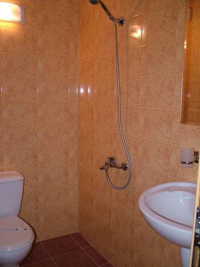 Family Hotel Olymp  2* Болгария, Девин