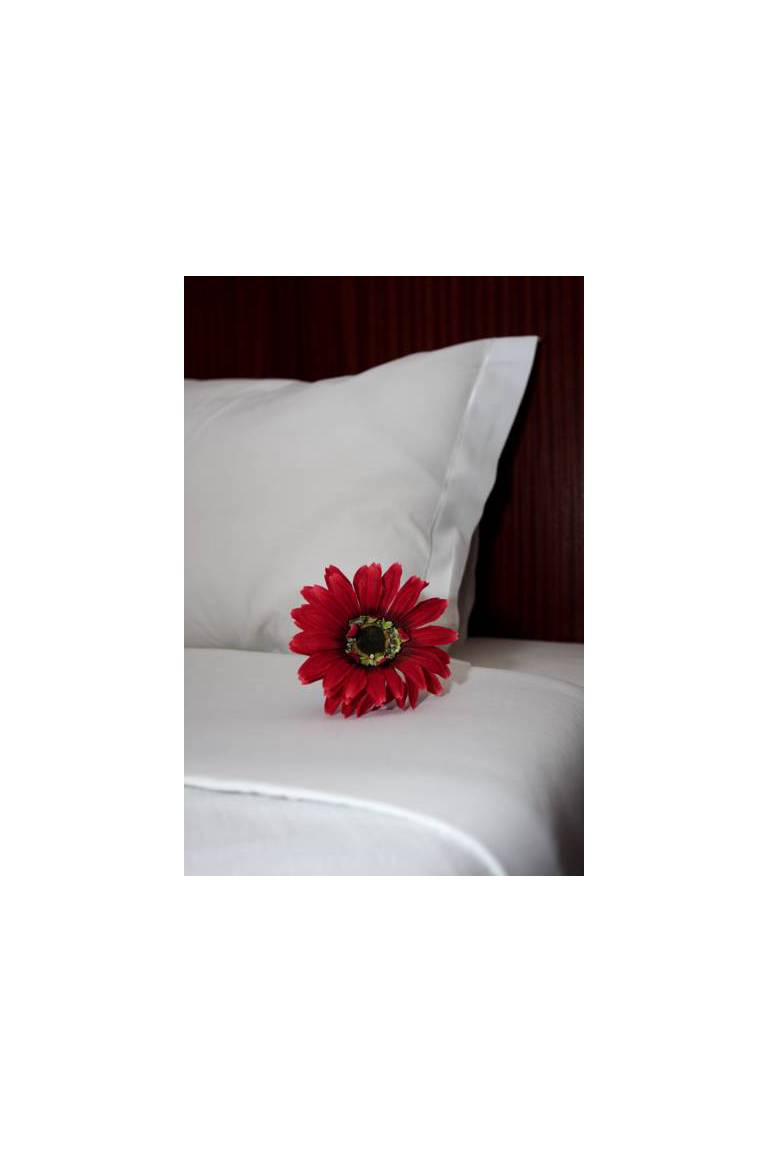 Jose Estevao Hotel 