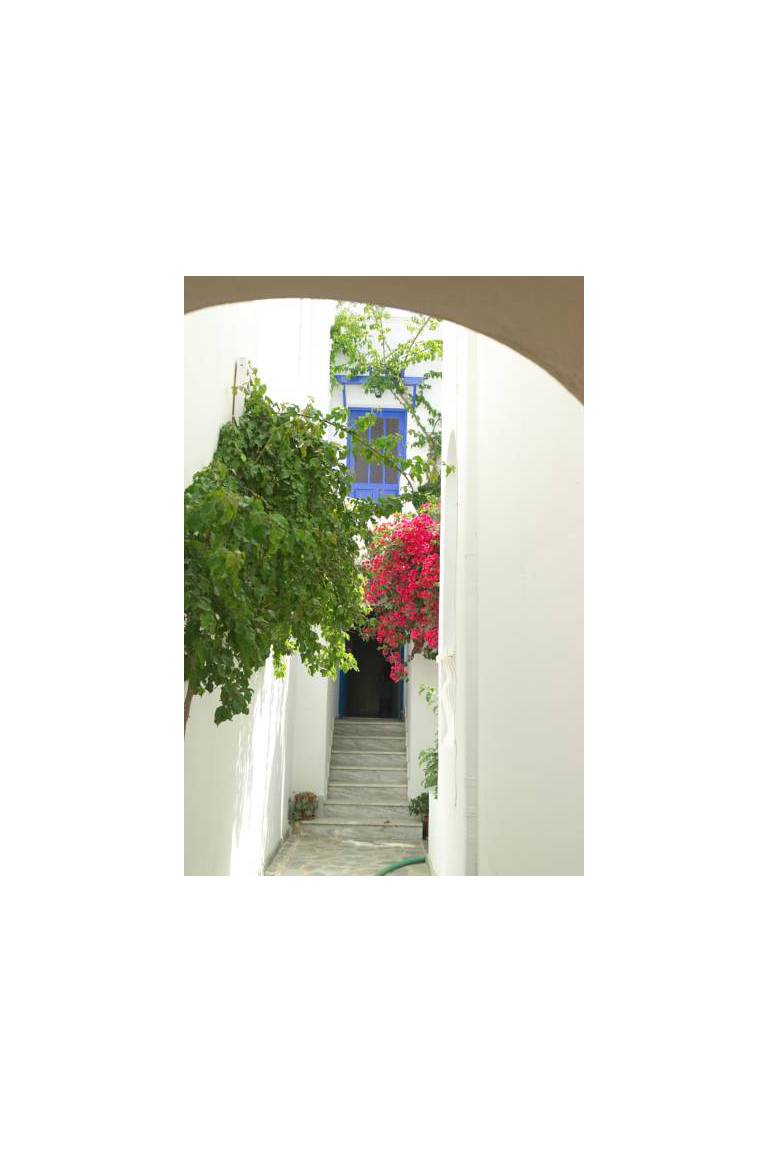 Villa Kamari Star 