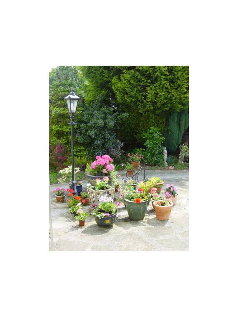 White Rose Lodge 