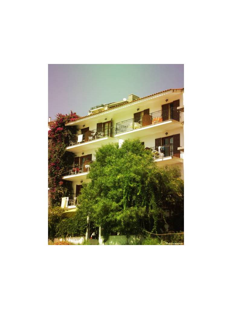 Mimoza Studios 