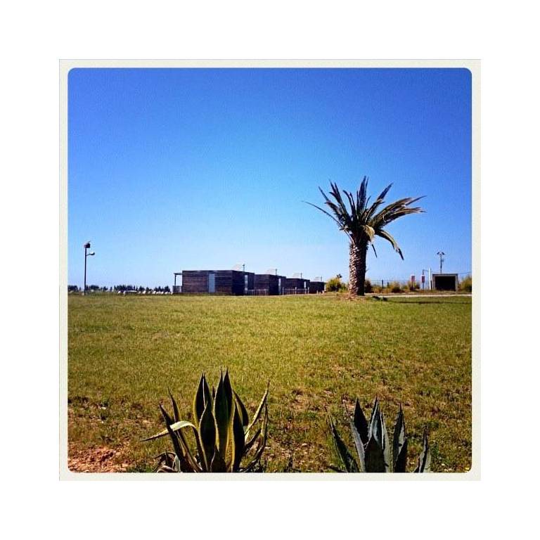 Zmar Eco Campo 