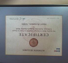 Отель Аврамов в Видине