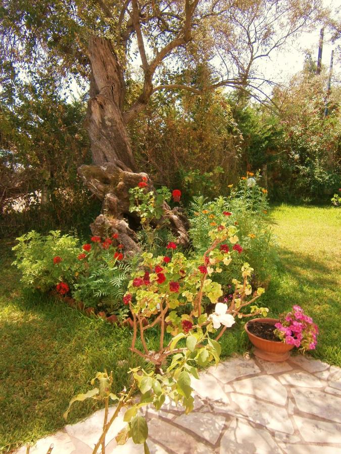 Villa Hector