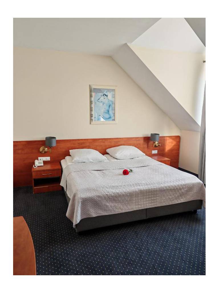 Hotel Daria 