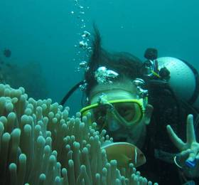 Туры в Nusantara Diving Centre Resort Spa в Индонезии