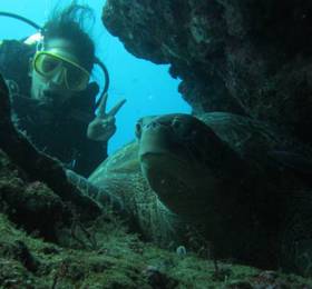 Nusantara Diving Centre Resort & Spa  в Манадо