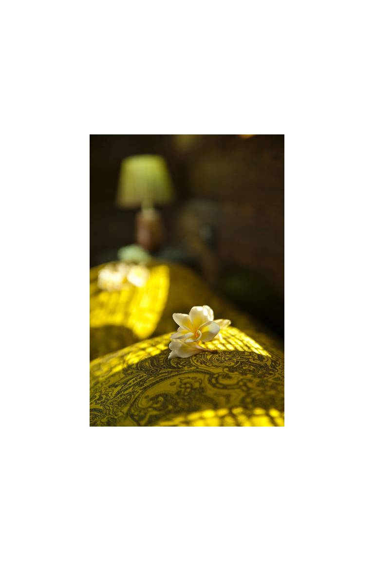 Ecowoods Village Spa & Yoga Retreat 