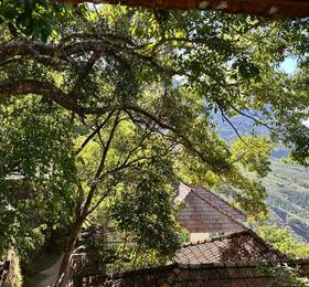 Blackberry Hills Retreat & Spa  в Муннаре