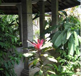 Chichi's Bungalows & Suites  в Керобокане