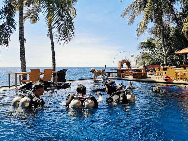Villa Alba Bali Dive Resort 