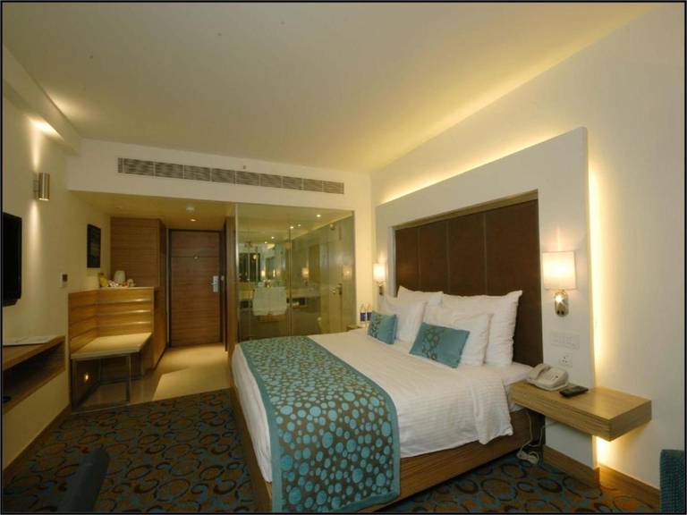The Pride Hotel, Ahmedabad 