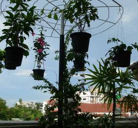 Pannmalee Home Guest House  в Чиангмае