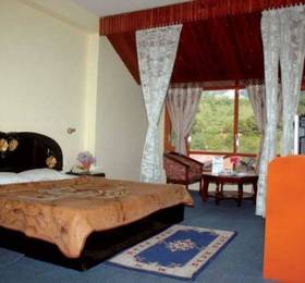 Туры в Hotel Sitara International  в Индии