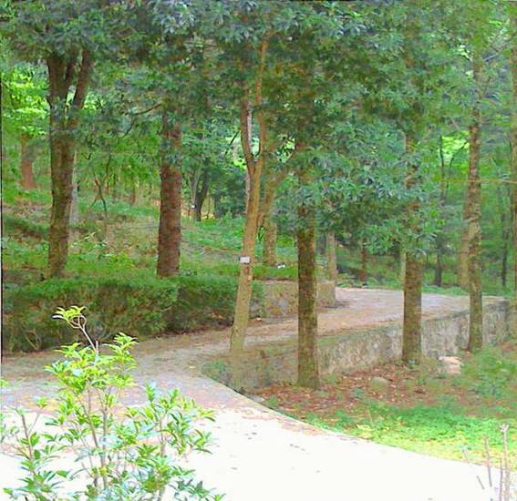 HuangShan Pine Ridge Lodge  3* Китай, Гора Хуаншань