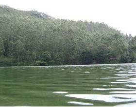Туры в Woodpecker Holidays Munnar  в Индии