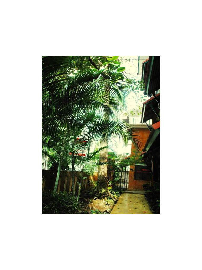 Sawasdee Chiangmai House 
