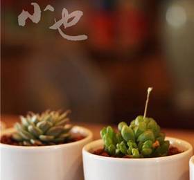 Weihai Soye Youth Hostel  в Вейхае
