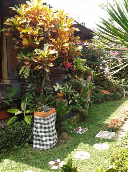 Biang's Cafe & Homestay  1* Индонезия, Убуд