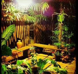 Kim House Guest House  в Чиангмае
