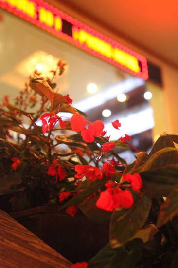 Hoa Phong Sa Pa Hotel  3* Вьетнам, Сапа