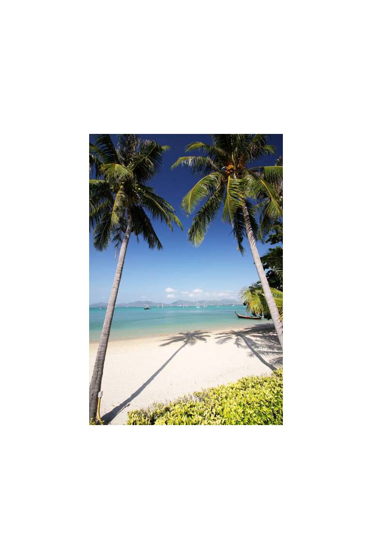 Cloud19 Beach Retreat 